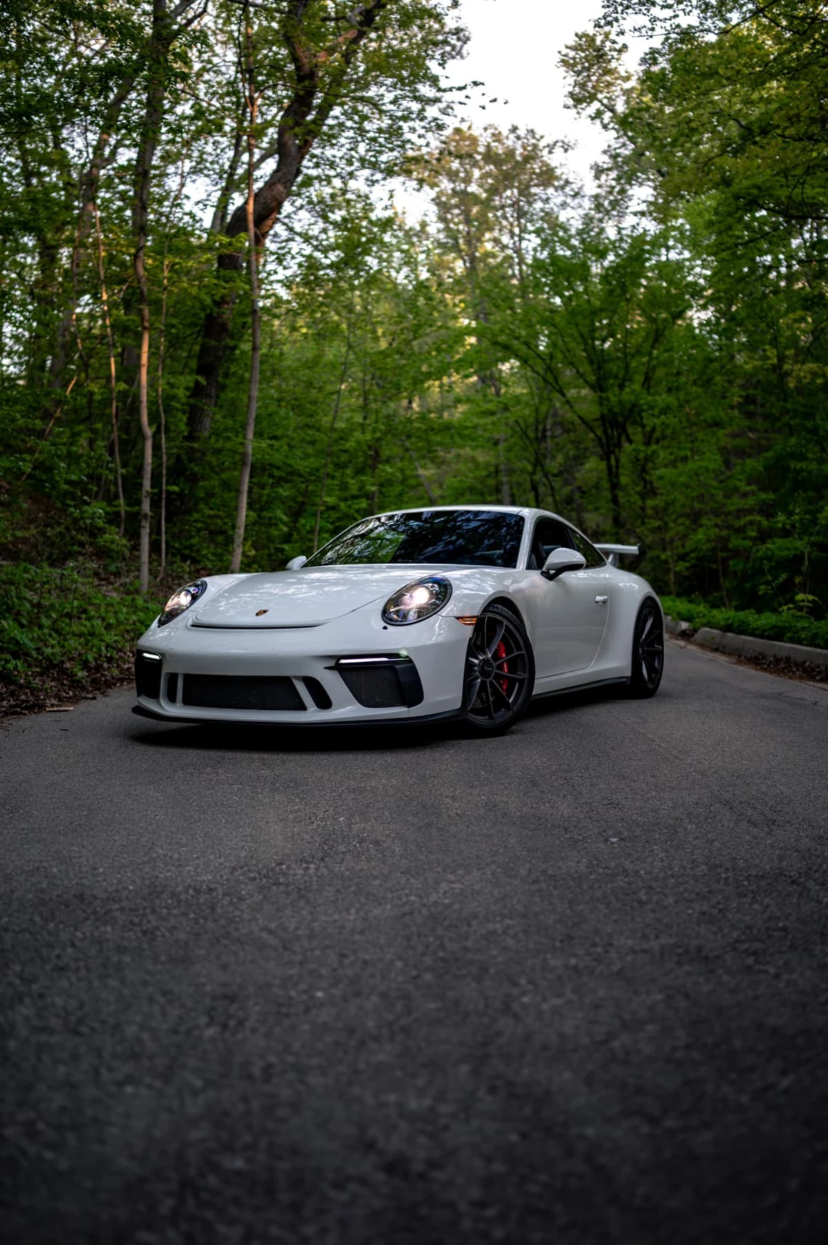 White Porsche 911 GT3 (991.2) photographed from the front on a forest road